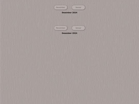 tidene/202412 screenshot