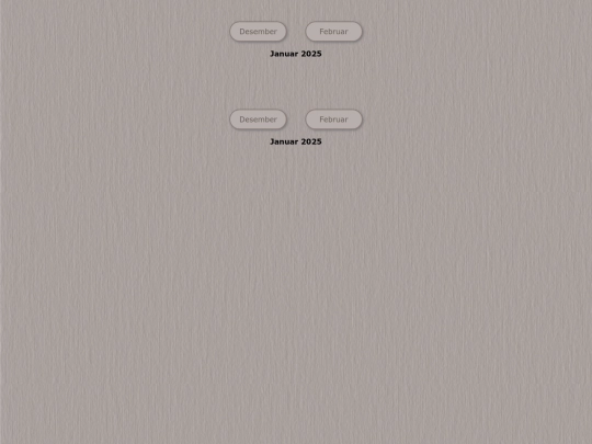 tidene/202501 screenshot