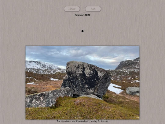 tidene/202502 screenshot