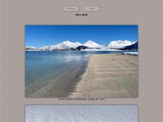 tidene/202503 screenshot