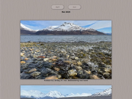 tidene/202505 screenshot