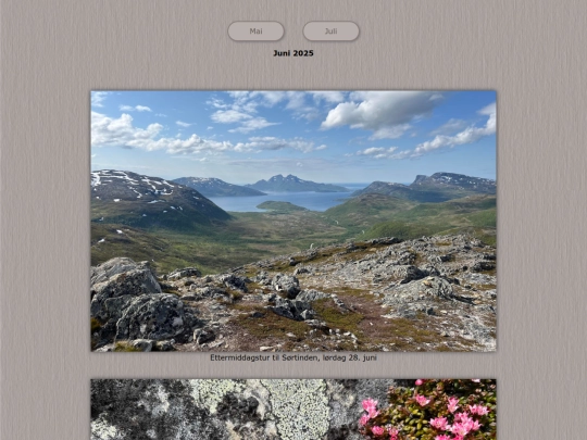 tidene/202506 screenshot