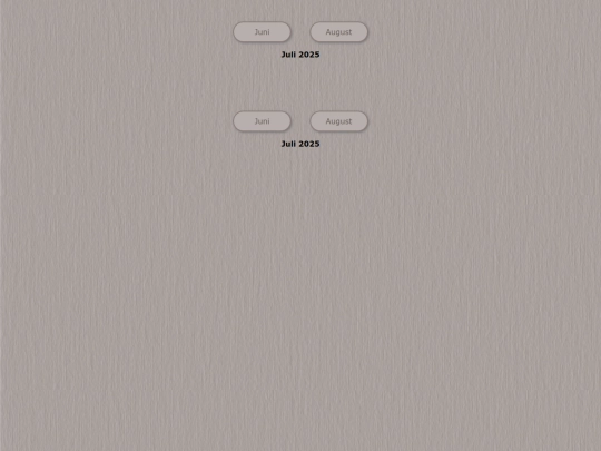tidene/202507 screenshot