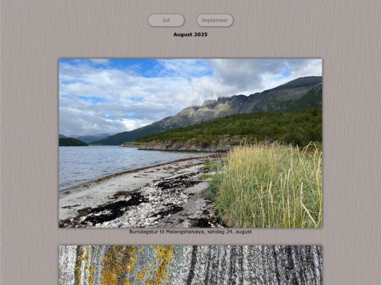 tidene/202508 screenshot