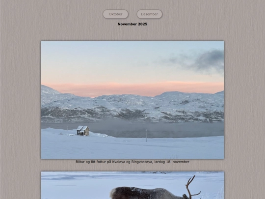 tidene/202511 screenshot