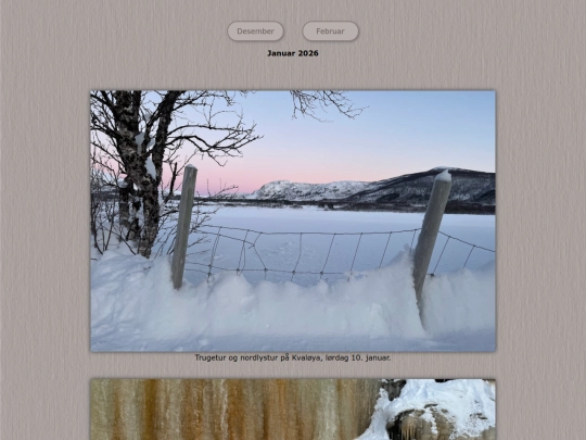tidene/202601 screenshot