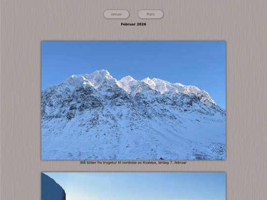 tidene/202602 screenshot