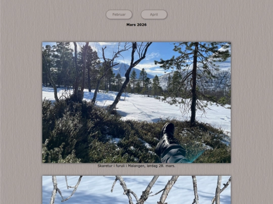 tidene/202603 screenshot