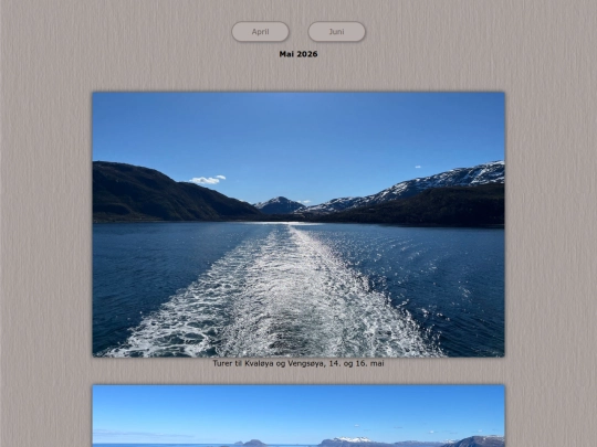 tidene/202605 screenshot