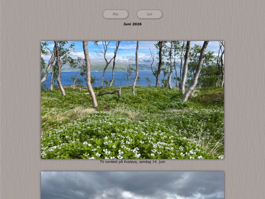 tidene/202606 screenshot
