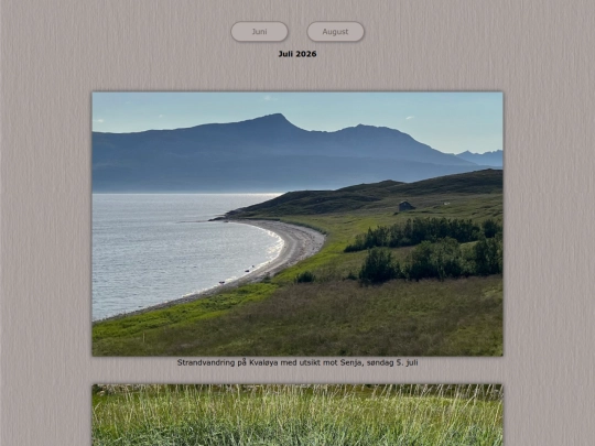 tidene/202607 screenshot