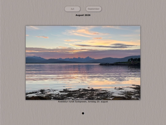 tidene/202608 screenshot