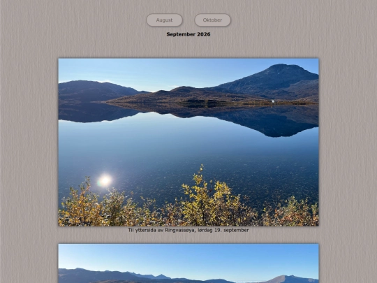 tidene/202609 screenshot