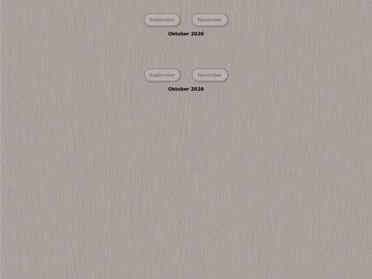 tidene/202610 screenshot