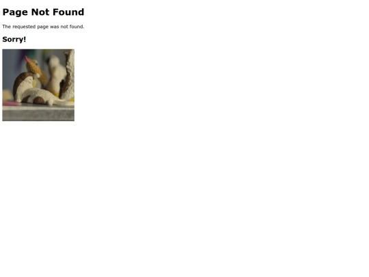 secret_home/inde3x screenshot