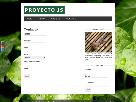 proyecto/contact screenshot