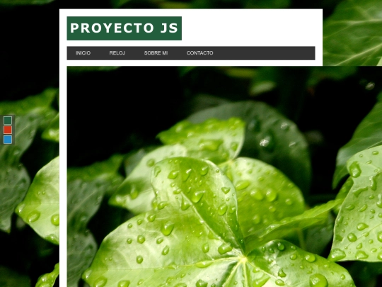 proyecto screenshot
