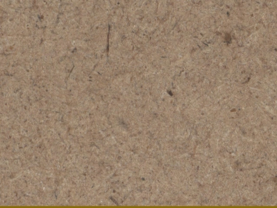 trashindex screenshot
