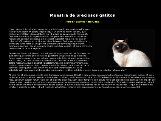 miriadax/examen/about screenshot