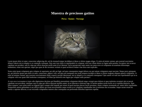 miriadax/examen/contact screenshot
