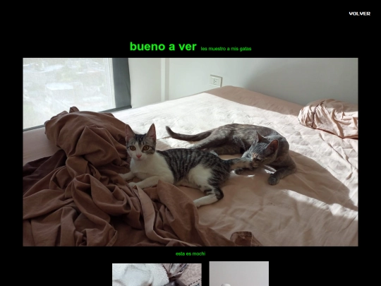 src/gatas screenshot