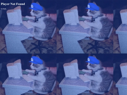 angelo/angelo screenshot