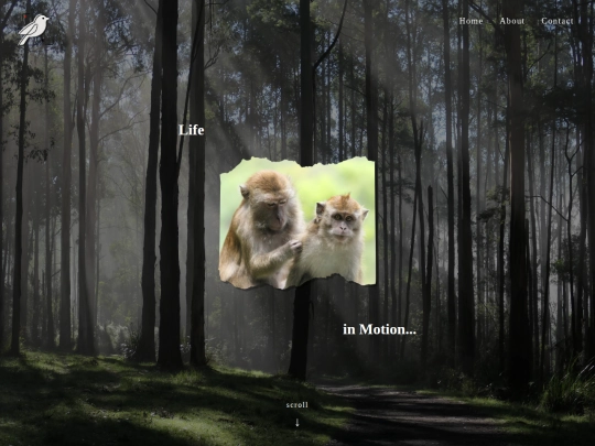 projectone screenshot