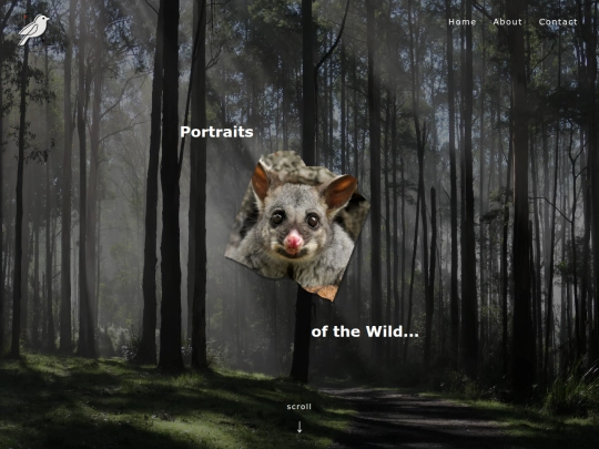 projectthree screenshot