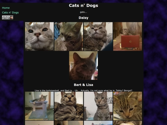 catsndogs screenshot