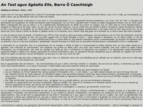 leirmheasan/an-tost-agus-sgealta-eile screenshot