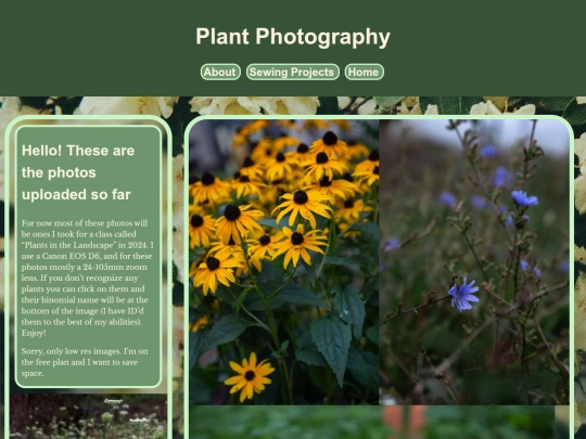 photography screenshot