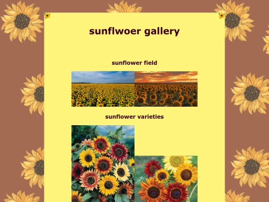 gallery screenshot