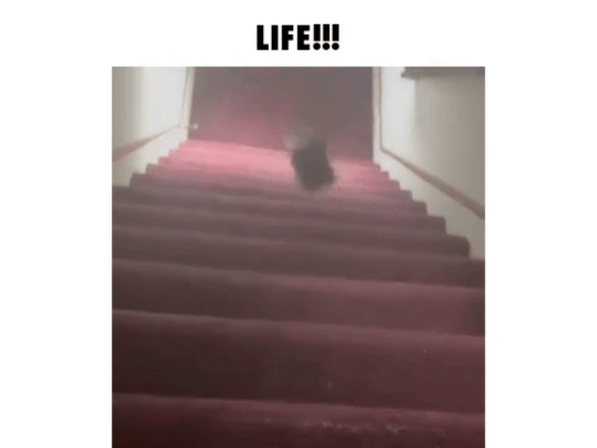 bfg2/life screenshot