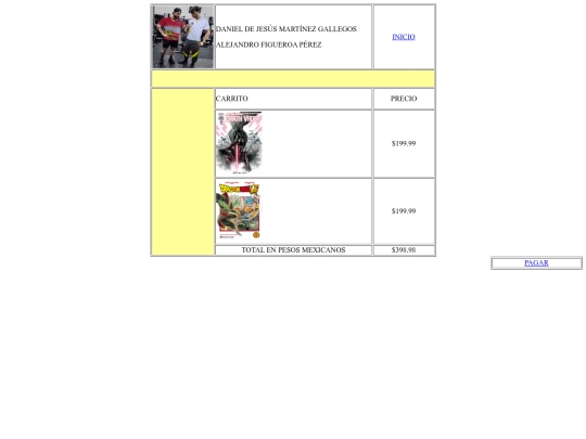 PERFIL DE PAGINA WEB screenshot