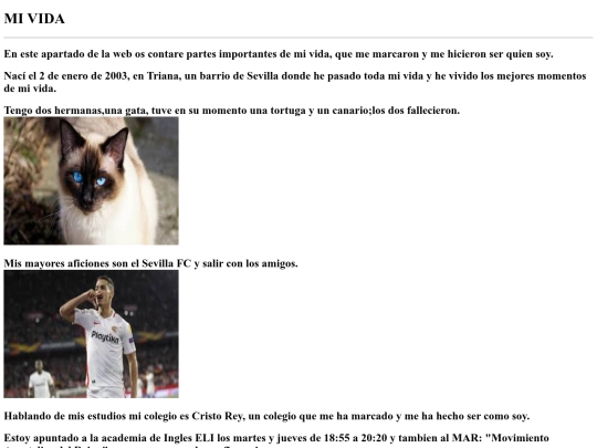 mivida screenshot