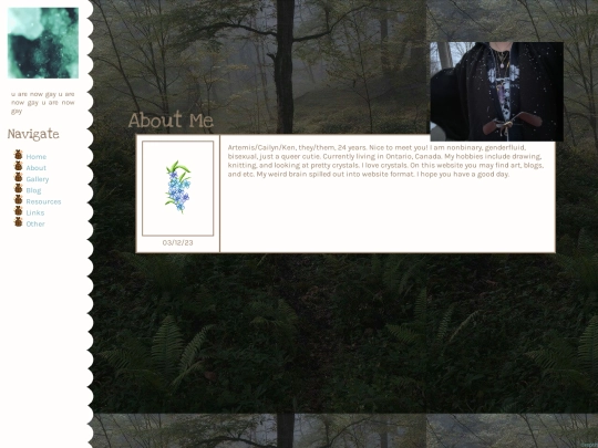 aboutme screenshot