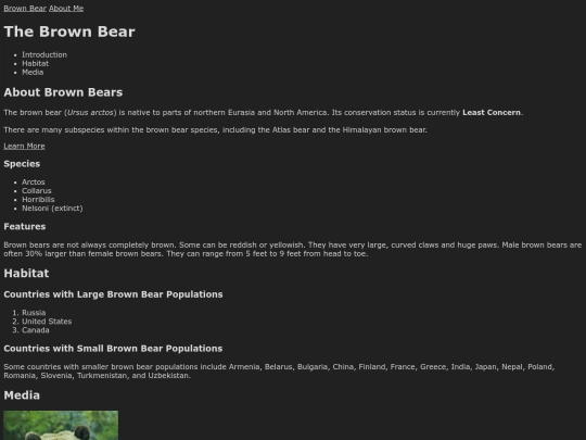 newfile screenshot