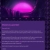 rexrinsic.neocities.org avatar