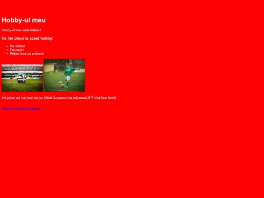 hobby-ul meu screenshot
