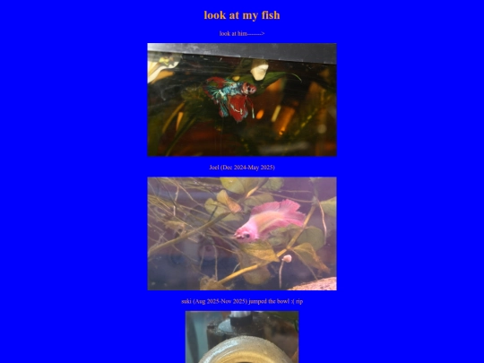 fish screenshot