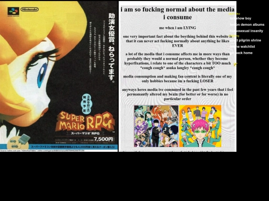 pages/media/media screenshot