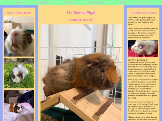 guineapigshrine screenshot