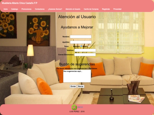 paginas/atencion screenshot