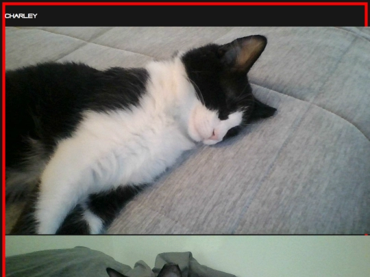 about/pets/charley screenshot