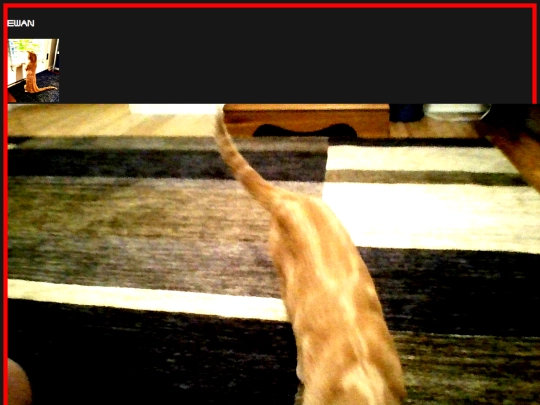 about/pets/ewan screenshot