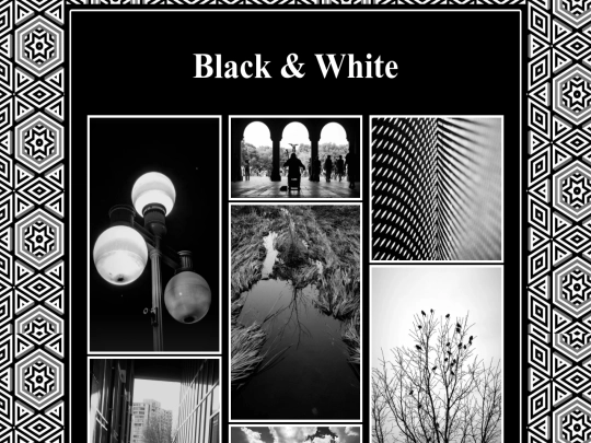 blackandwhitephoto screenshot