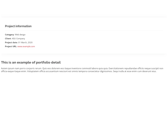 portfolio-details screenshot