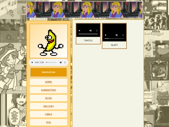 gallery-video screenshot
