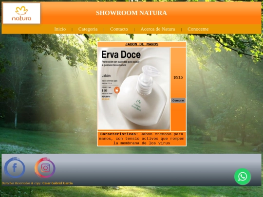 Final/ventas/jabon_de_manos screenshot