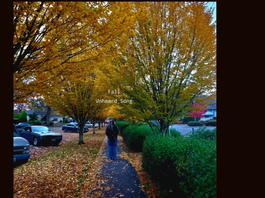 fall screenshot